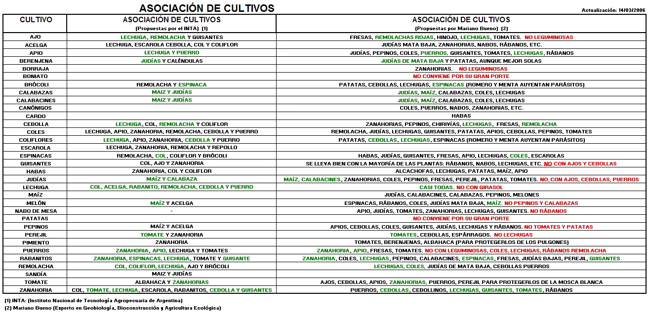 ¿Cuando se plantan las verduras en el Huerto?