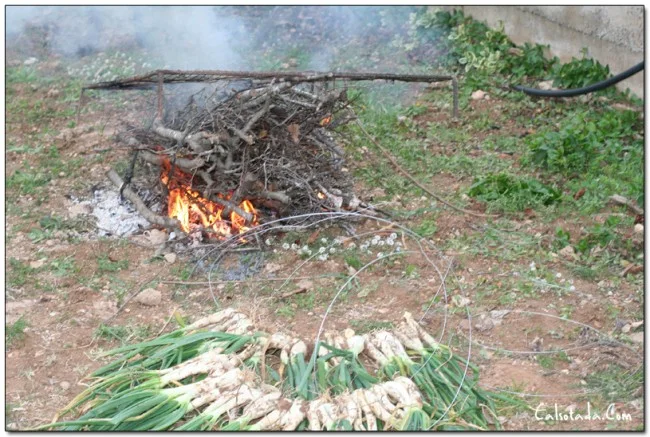 Imagen del archivo que acompaña a: Feliz Año 2010 y Muchos Calçots!