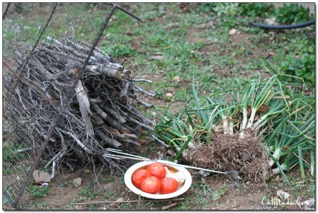 Feliz Año 2010 y Muchos Calçots!