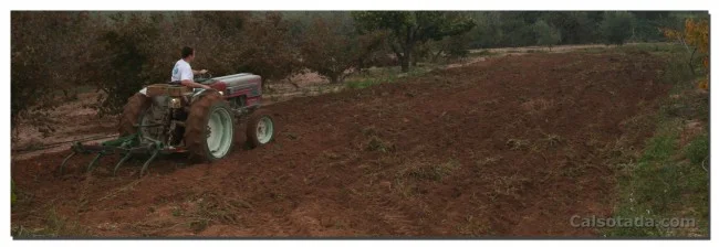 tractor tractor