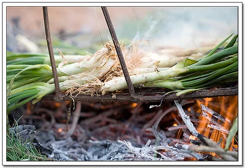 Calçots por *OKsana*-2